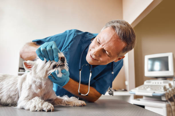 Best Pediatric Emergency Dentist in Pine Castle, FL